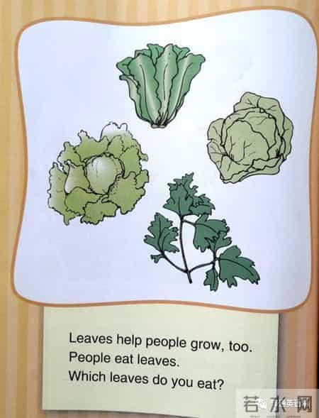 加州教材Stories to read Words to know。不断地跟读