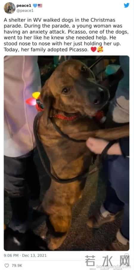 圣诞故事,寒冷的冬天，还好有这一波跟圣诞有关的治愈小故事