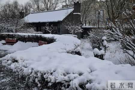 祖父的园子读后感,祖父的园子读后感500字作文