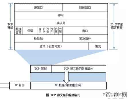 电脑网络：图文通俗讲解计算机网络基础知识，学完就可以过网工了