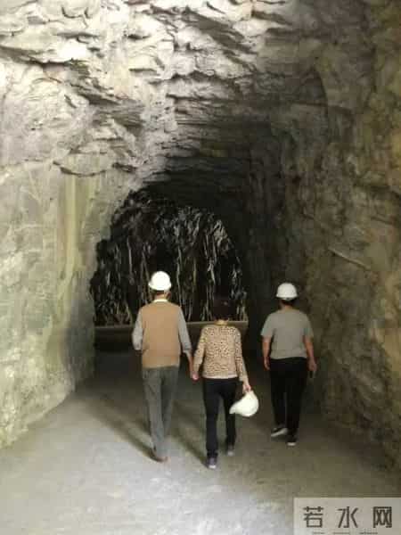 幸福的背影，这才是爱情中最美好的样子！