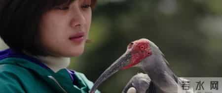 人与自然观后感