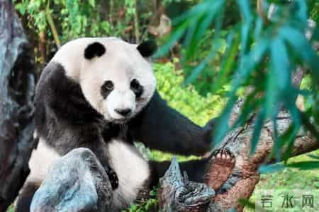 G3359次，小编墙裂推荐！