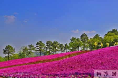 亲情作文300字,亲情作文300字优秀作文