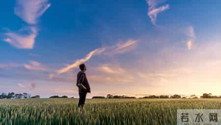 幸福最终话,最终的幸福生活