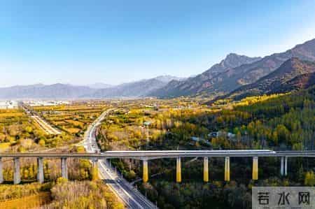 G3359次，小编墙裂推荐！