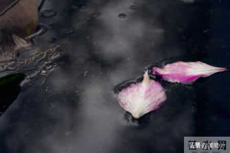 伴君入眠,史上最孤独的一首宋词，意境高远，影响世人900年