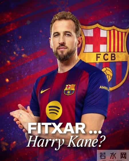 美国总统大选候选人最新消息,美国总统大选情况最新