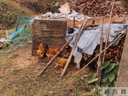 魏家福,魏家福个人简介