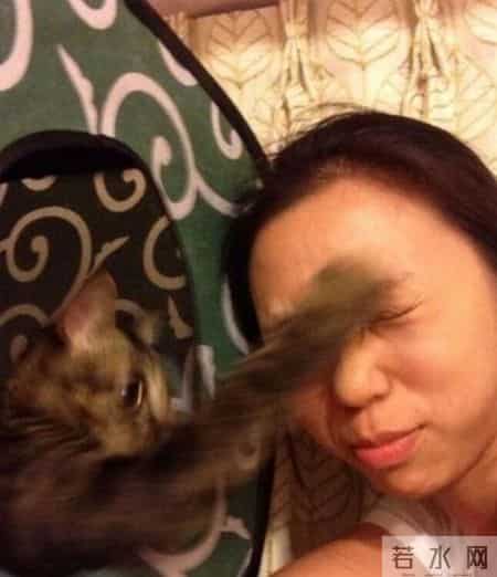 台湾强震来袭时水豚淡定自如,台湾水灾2020