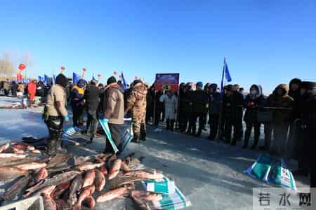 猪价连跌12周,猪价大跌后，牛羊肉连跌2周，蛋价反弹，鱼价涨12%，风水轮流转？