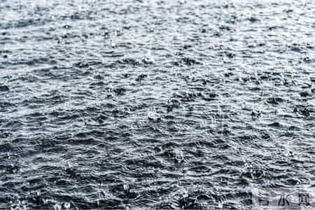 长江南京段洪水升级为红色预警,江苏发布洪水黄色预警