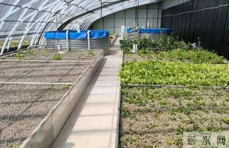 吉林农业科技学院疫情最新情况,我省保护性耕作监测前哨基地——记吉林农业大学植保学院