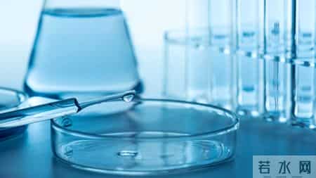 看长三角更高水平开放,2024年长三角区域发展指数稳步提升，区域高质量发展行稳致远