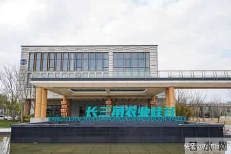 上海市已抢种蔬菜面积达8万多亩,上海的农业，竟然强得很可怕