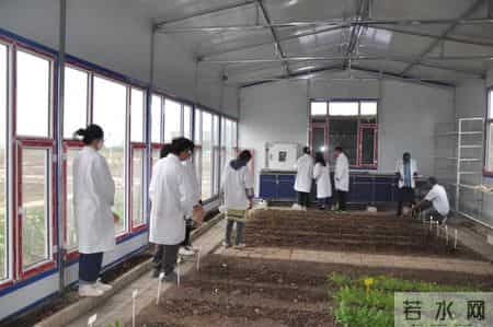 吉林农业科技学院疫情最新情况,我省保护性耕作监测前哨基地——记吉林农业大学植保学院