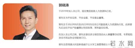 平安孙建平,孙建平平安集团哪里人