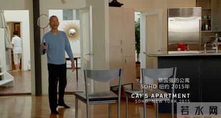 蔡国强是加入美国国籍吗,蔡国强的顶级生活：纽约豪宅里打羽毛球，女儿加入日本国籍