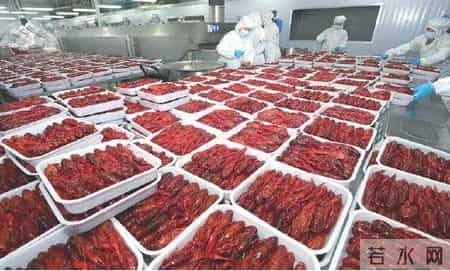 小龙虾价格下跌,财经观察丨从“夜宵霸主”到“价格腰斩”，小龙虾价格为何暴跌