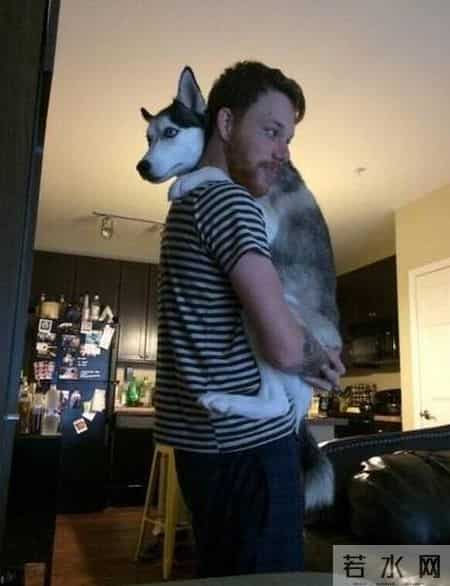 台湾强震来袭时水豚淡定自如,台湾水灾2020