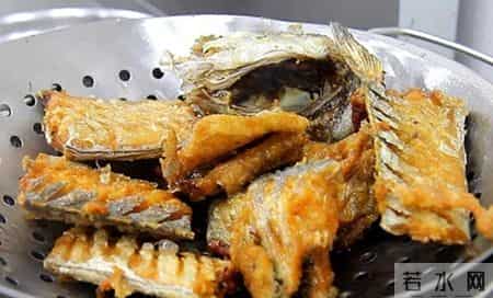 黄嘴鱼,黄唇鱼图片大全