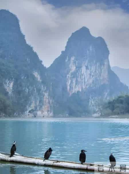 中能兴业,炸锅了！广西傻眼，玉林懵圈，兴业凭啥成全国新晋焦点？