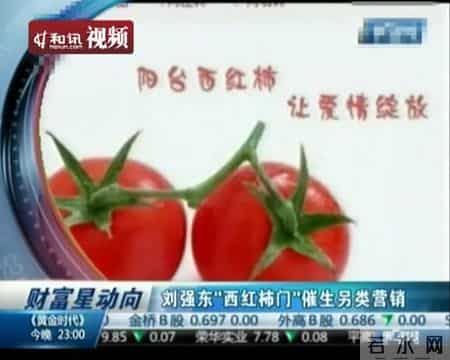 刘强东西红柿的故事,刘强东这辈子最后悔的一件事儿