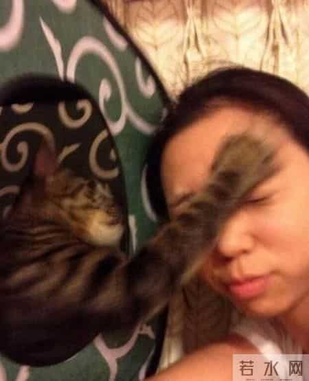 台湾强震来袭时水豚淡定自如,台湾水灾2020