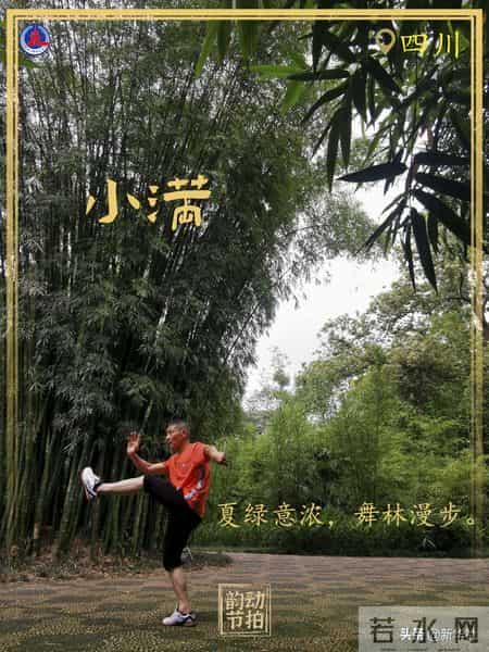 羽翼丰满,韵动节拍丨每天积累一小步 待到羽翼丰满时