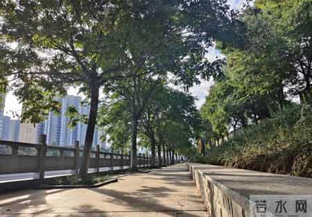 24券倒闭了吗,一加开启“清仓模式”，24GB+1TB跳水1127元，顶配旗舰跌至谷底价