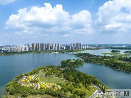 上海文玩论坛,上海文玩批发市场地址