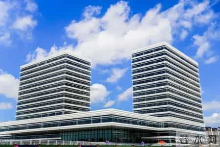 上海市已抢种蔬菜面积达8万多亩,上海的农业，竟然强得很可怕