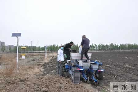 吉林农业科技学院疫情最新情况,我省保护性耕作监测前哨基地——记吉林农业大学植保学院