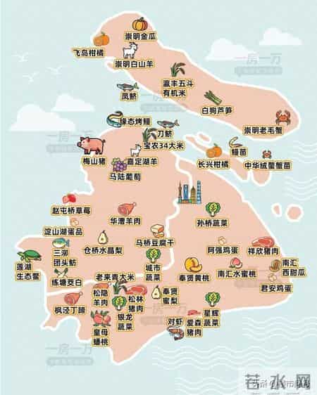 上海市已抢种蔬菜面积达8万多亩,上海的农业，竟然强得很可怕