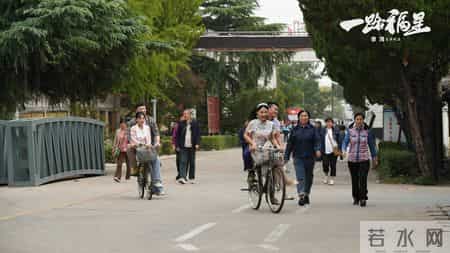 2011年大片,温暖治愈电影《一路福星》-2026年最值得全家共赏的温情喜剧