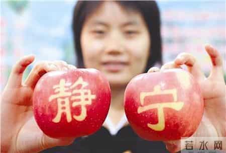 马光远博客,吕梁远隔空对话马光远，静宁的发展不能吊死在一颗苹果树上