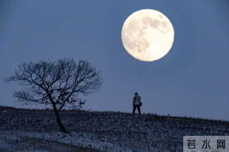 蓝月亮料全年资料大全,4.5小时超级日食即将上线！2026最全天象日历来了，快来打卡“蓝月亮”