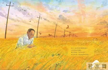 共和国脊梁奖,走进“共和国脊梁”的成长故事 袁隆平等8位中国科学家绘本丛书将亮相第30届书博会