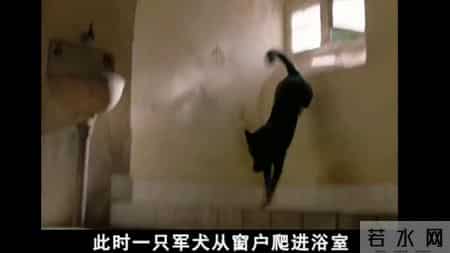 集中营电影,犹太人在集中营遭遇残忍杀戮非人虐待的经典电影