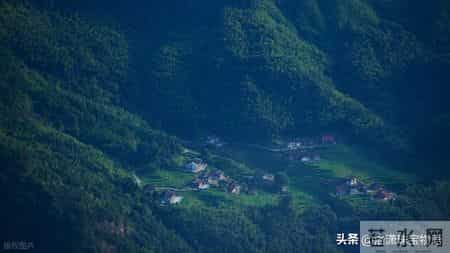 上海文玩论坛,上海文玩批发市场地址