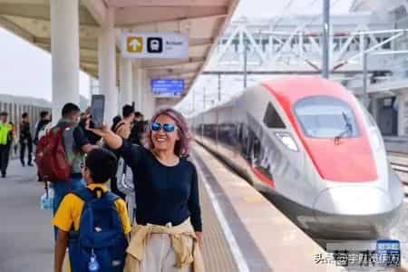 温州动车死多少人,温州动车 死亡