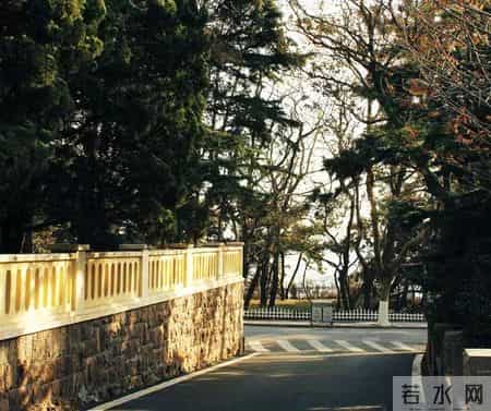 橡根,橡根是松紧带吗