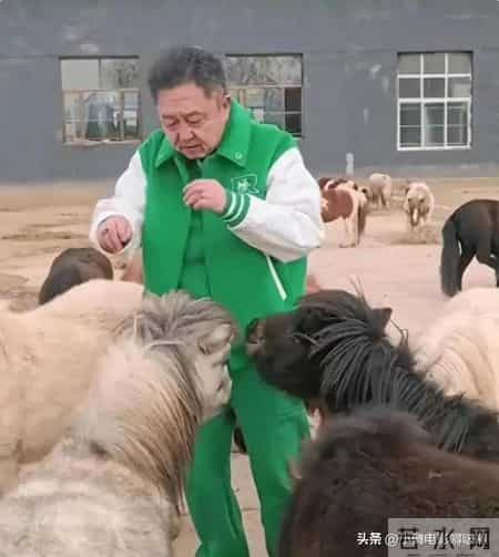 德云社成老赖,于谦成“老赖”不到三天，更多内幕被扒，原来吴京都没能“逃脱”