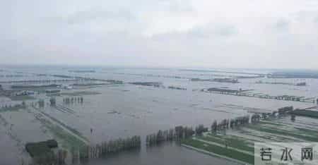 鹤壁王庄炸坝泄洪,河南浚县王庄镇：超80%区域被洪水淹没，也担心疫情传播