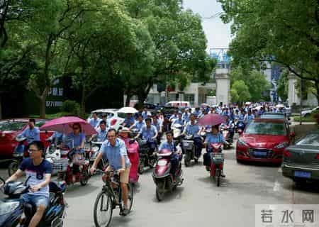 竺延风去向,竺延风能力