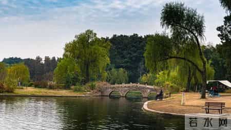 看长三角更高水平开放,2024年长三角区域发展指数稳步提升，区域高质量发展行稳致远