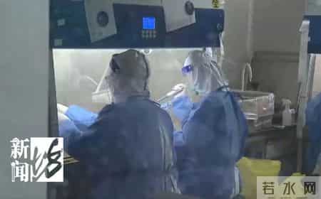 上海为何高频次重复核酸检测,为什么上海核酸检测这么贵