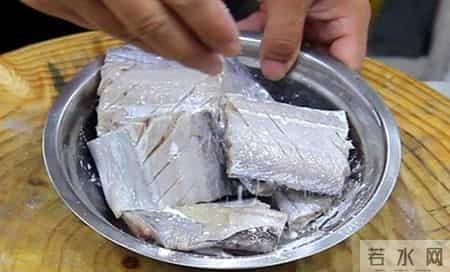 黄嘴鱼,黄唇鱼图片大全