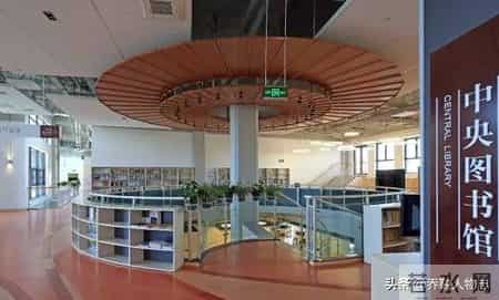 李天一为什么叫李某某,李天一：马失前蹄的“星二代”