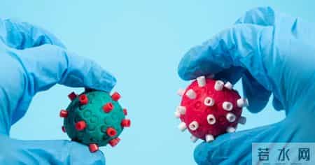 梅 安德森,梅·安德森